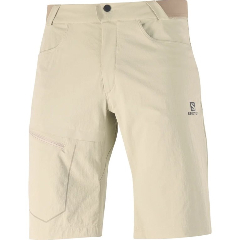 Khaki Salomon Wayfarer Men's Shorts | PH 12796W